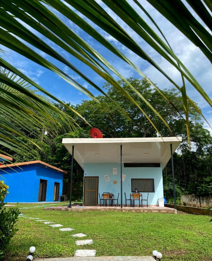 Posada Miradia Matapalo  Exterior foto